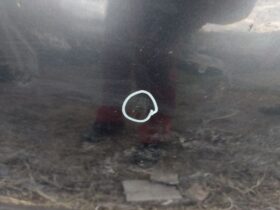 CITROËN Motorháztető