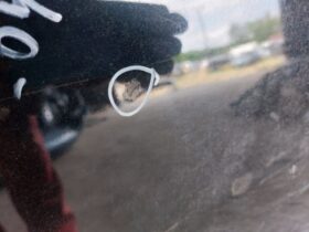 HONDA Bal első Ajtó (Üres lemez)