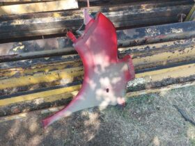 CITROËN Jobb első Sárvédő