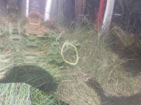 RENAULT Motorháztető