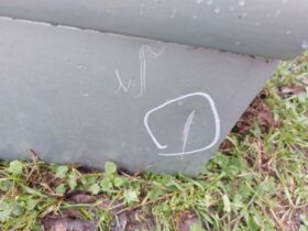 CITROËN Bal első Ajtó (Részeivel)