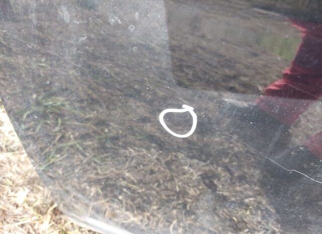 
								HONDA Bal első Ajtó (Részeivel) full									