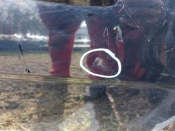 
										HONDA Jobb első Ajtó (Részeivel) full									