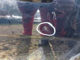 HONDA Jobb első Ajtó (Részeivel)