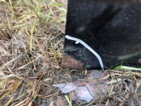 HONDA Jobb első Ajtó (Részeivel)