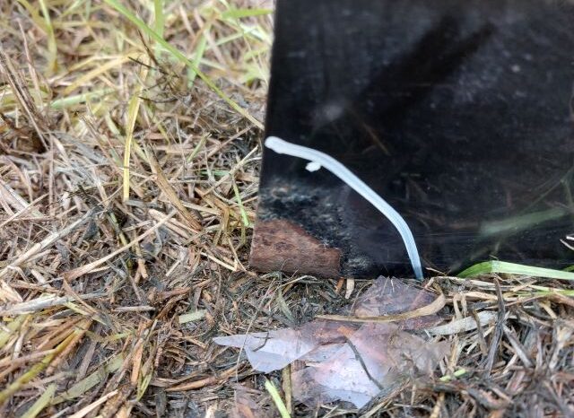 
								HONDA Jobb első Ajtó (Részeivel) full									