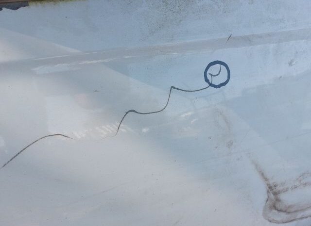 
								CITROËN Bal első Ajtó (Részeivel) full									