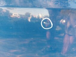 
										CITROËN Bal első Ajtó (Részeivel) full									