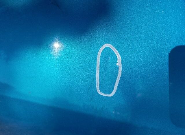 
								CITROËN Jobb hátsó Ajtó (Részeivel) full									