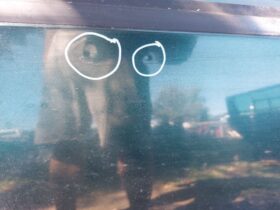 SKODA Jobb hátsó Ajtó (Részeivel)