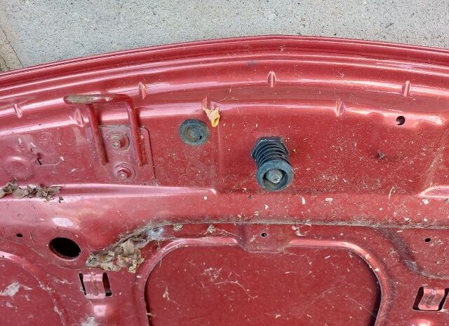 
								RENAULT Motorháztető full									