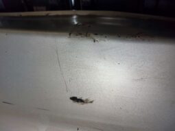 
										TOYOTA Hátsó Lökhárító (Részeivel) full									