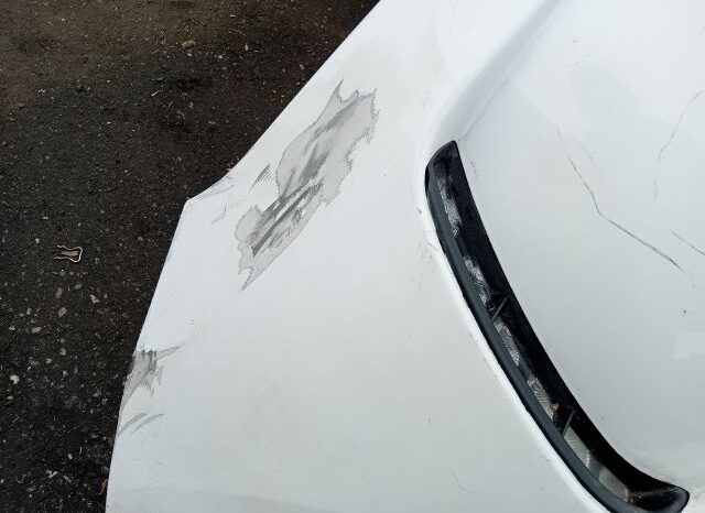 
								CITROËN Első Lökhárító (Részeivel) full									