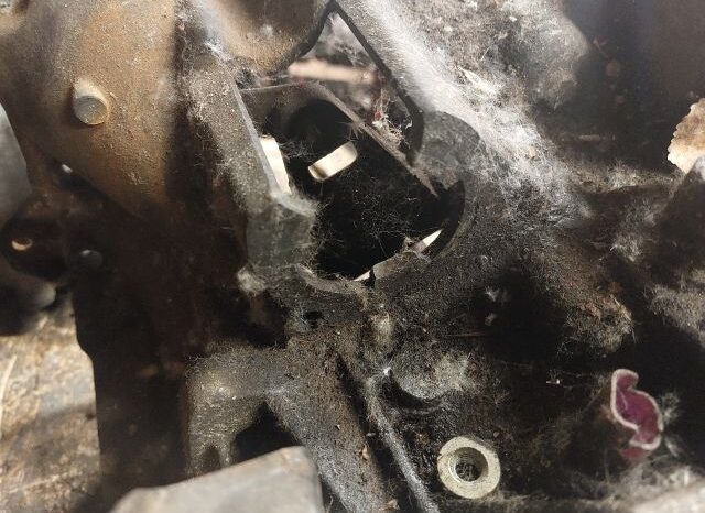 
								PEUGEOT Váltó (Mechanikus) full									